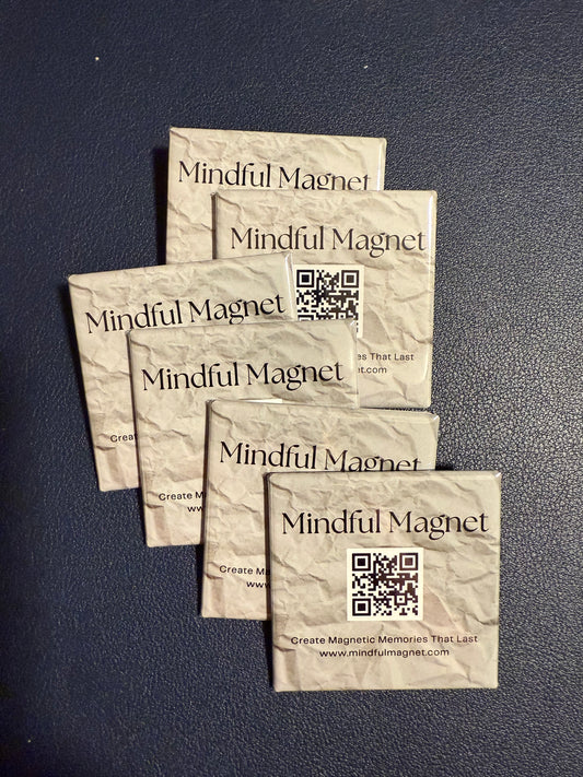 Bulk Square Magnets (20)